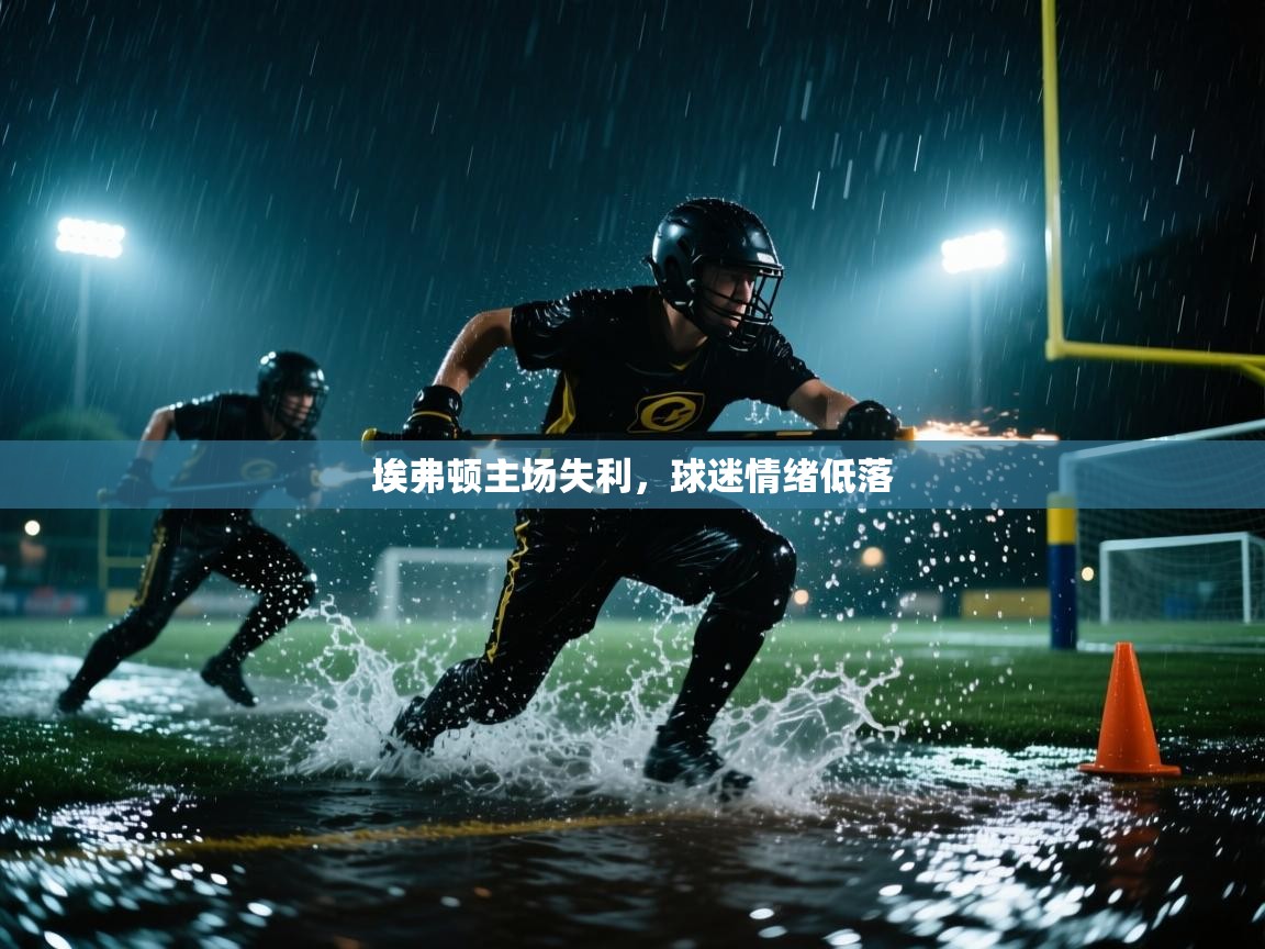 埃弗顿主场失利，球迷情绪低落  第2张