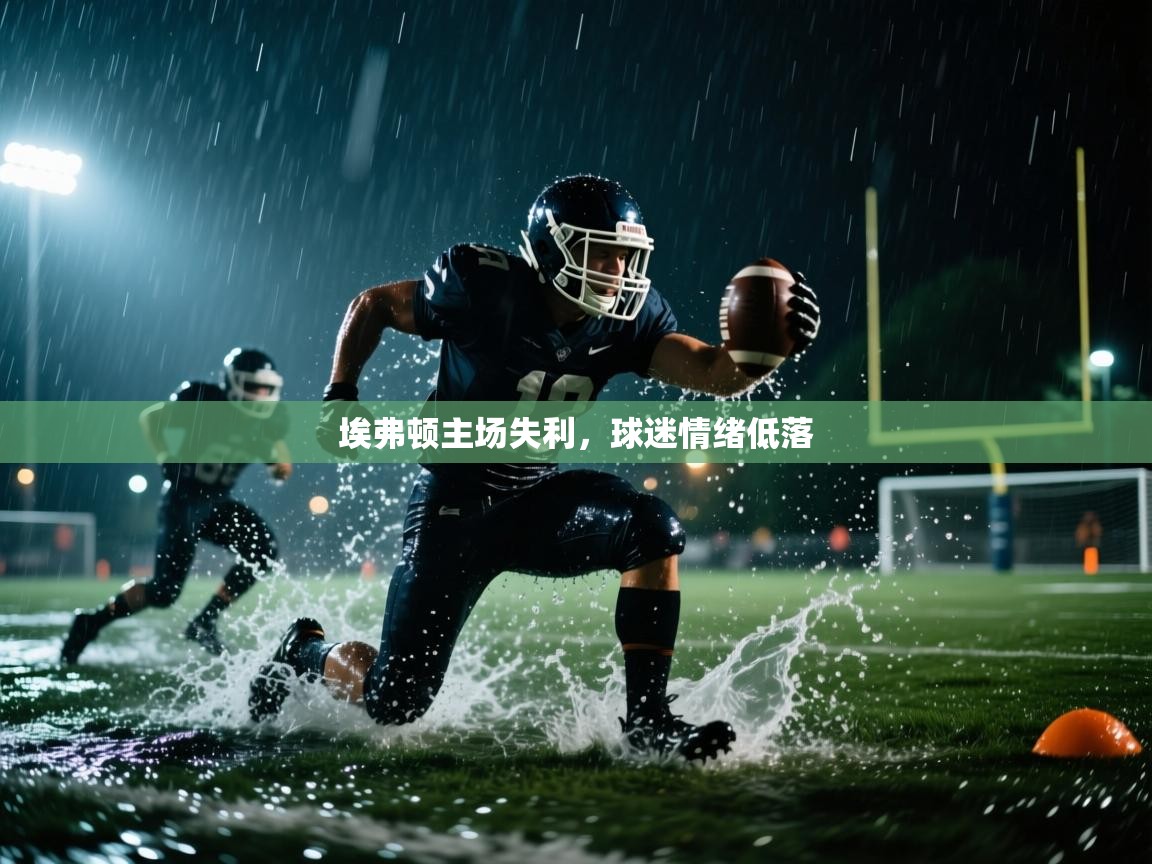 埃弗顿主场失利，球迷情绪低落  第1张